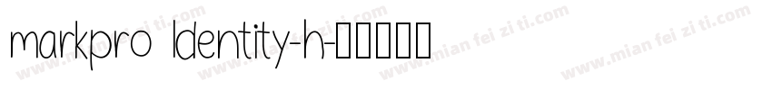 markpro ldentity-h字体转换